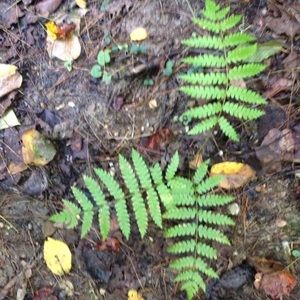 Meet your Posher, June